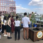 Natural dye workshop on the roof terrace